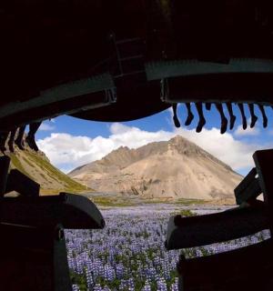 a view of a mountain with a field of purple flowers