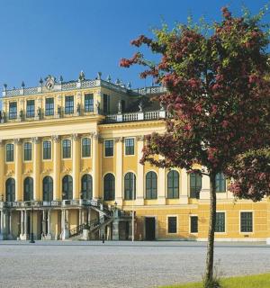 a large yellow building with a tree in front of it