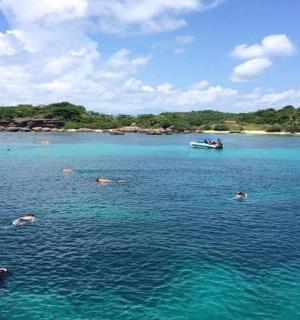 a group of people swimming in a large body of water