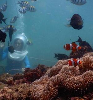 一名潜水员在海里有很多鱼