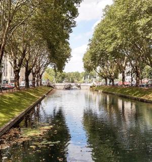 树木和汽车遍布的城市中的一条河流