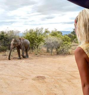 a woman looking at an elephant on a dirt road