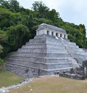 一座巨大的金字塔，背景是树木