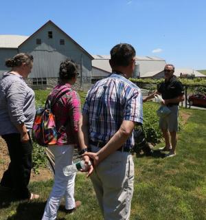 група людей, що стоять у полі