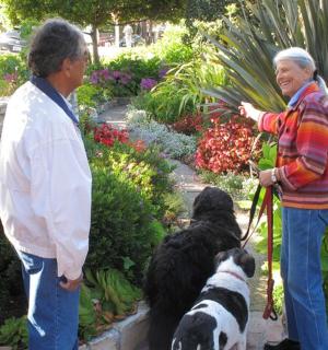 two older women and a dog in a garden