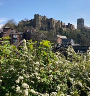 a view of a city with a castle in the background