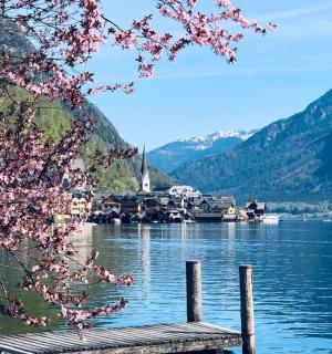 湖景、长椅和山脉