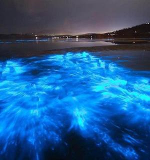 a group of blue lights on the water at night