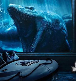 狮子王与北极熊的海报