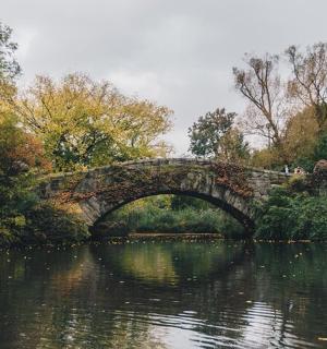 a stone bridge over a river in a park