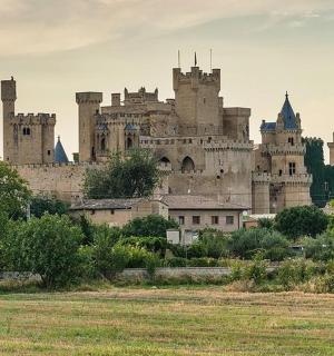 a large castle sitting on top of a field