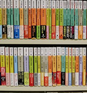 摆满书籍的书架