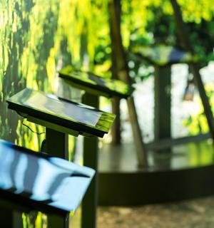 two benches sitting next to each other in a park