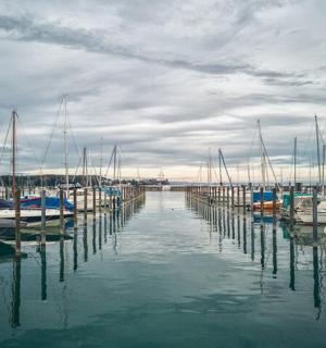a bunch of boats are docked in a harbor