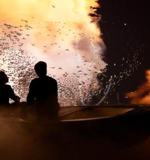 一对夫妇坐在船上看烟花