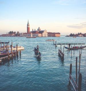 停泊着船只的码头旁的水中有一匹马