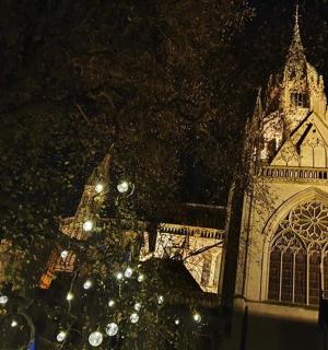 夜晚有钟楼的建筑