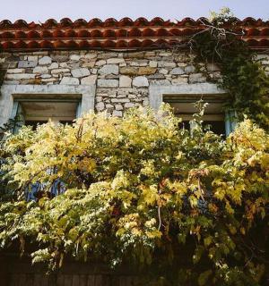 一座有两扇窗户和一丛灌木的石头建筑