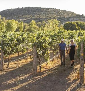 muž a žena procházející se vinicí