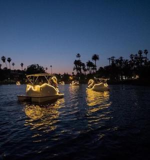 夜晚水中的一群白色小船