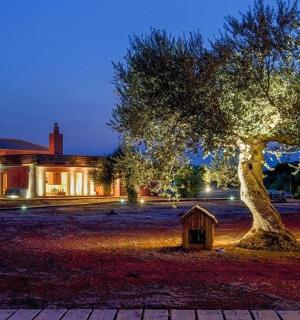 ein Haus mit einem Baum vor einem Gebäude