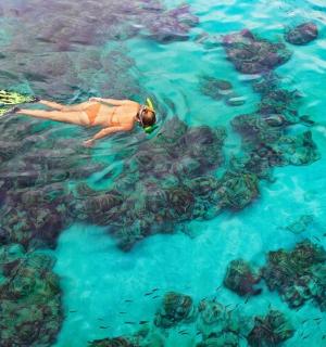 a person swimming in the water near the reef