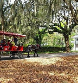 a horse pulling a red carriage with people