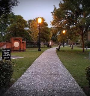 夜晚公园里有路灯的人行道