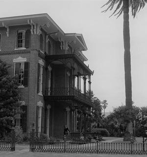 一张带有棕榈树的建筑物的黑白照片