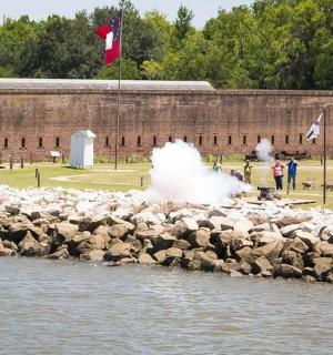 skupina ptáků na skalní stěně poblíž vodní plochy