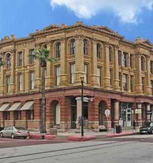 街道前有棕榈树的大楼