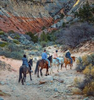 a group of people riding horses down a dirt road