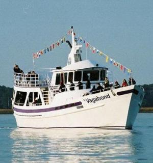 bílá loď na vodě s lidmi na ní