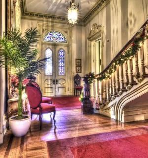 místnost se schodištěm, židlí a rostlinou