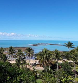 棕榈树和海洋的海滩景观