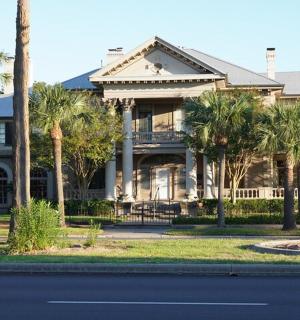 velký dům s palmami před ním