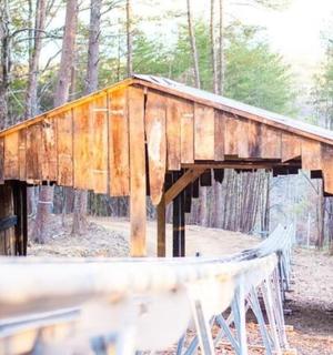 森林中的一座木制建筑