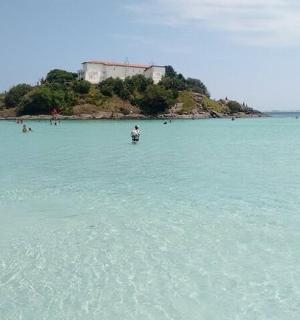 一群人在岛上的水中游泳