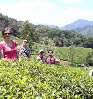 กลุ่มคนยืนอยู่ในไร่ชา