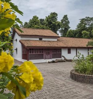 a house with yellow flowers in front of it