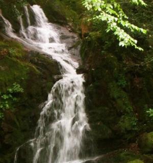 vodopád uprostřed lesa