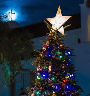 a christmas tree with a star on top of it