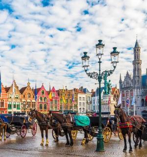 skupina koní táhnoucích kočár na městské ulici