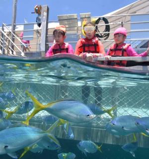 两个人在船上，水中有鱼