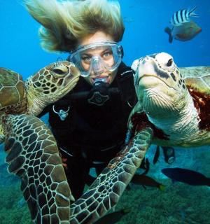 a woman underwater with a turtle and a fish