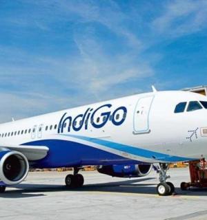 a blue and white airplane sitting on a runway