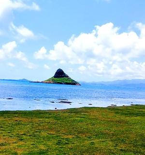 pláž s palmou a ostrovem ve vodě