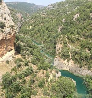 an aerial view of a river in a canyon