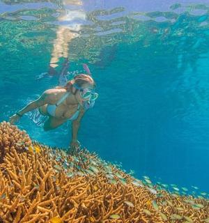 a woman is swimming over a coral reef
