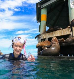 žena ve vodě vedle skupiny tuleňů